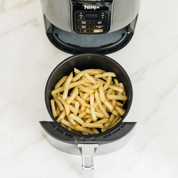 Ninja Air Fryer AF100